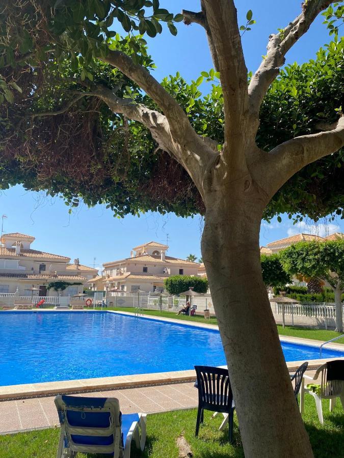 Greensuites La Zenia Torrevieja Playa Flamenca Exteriör bild
